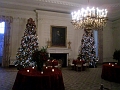 White House Christmas 2009 058